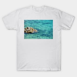 Water Rock T-Shirt